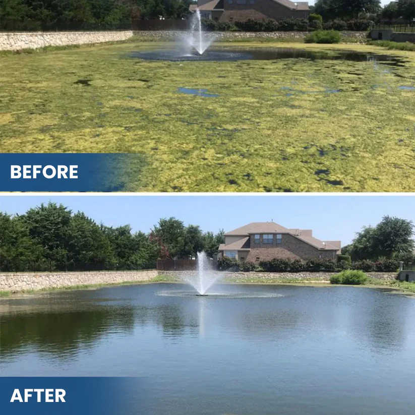 🌟 Official Store |✨ From Murky Swamp to Perfect Pond! | 3-in-1 Green Water Fix
