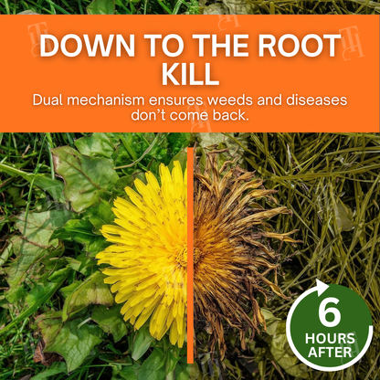 ✨ From Weed Jungle to Perfect Lawn! | ⏱️ Watch Weeds Wither in 6 Hours!  |2-in-1 Max Power Herbicide (100% Glyphosate-Free)